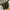 CARHARTT HOODED ALFRED HALF ZIP SWEAT photo 2