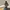 CARHARTT HOODED ALFRED HALF ZIP SWEAT photo 3
