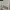 y2k skull longsleve grapic with skull motif (good condition) photo 3