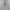 y2k skull longsleve grapic with skull motif (good condition) photo 1