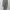 Outer Skull Wings Grapich Y2k (good Condition)
