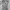 outer skull wings grapich y2k (good condition) photo 3