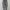 Outer Skull Wings Grapich Y2k (good Condition)