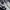Onitsuka Tiger Gorpcore Indie Sneakers Wanita white black photo 3