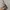 NYX Precision Brow Pencil Espresso Eyebrow Makeup Pensil Ali photo 1