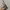 NYX Precision Brow Pencil Espresso Eyebrow Makeup Pensil Ali