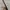NYX Precision Brow Pencil Espresso Eyebrow Makeup Pensil Ali photo 2