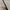 NYX Precision Brow Pencil Espresso Eyebrow Makeup Pensil Ali