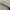 NYX Precision Brow Pencil Espresso Eyebrow Makeup Pensil Ali photo 3
