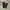 CELANA CORDUROY RELAXED ANKLE TBJ NEARBY DARKGREEN photo 1
