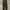 CELANA CORDUROY RELAXED ANKLE TBJ NEARBY DARKGREEN photo 3