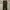 CELANA CORDUROY RELAXED ANKLE TBJ NEARBY DARKGREEN