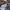 VANS Gorpcore Casual Sneakers Wanita white black photo 8