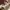 Stussy Vintage Streetwear Sweatshirt Pria cream photo 4