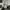 JUVENTUS STRIPE POLO SHIRT OVERSIZE photo 1