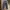 Carhartt Vintage Y2K Pria black photo 2