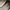 Birkenstock photo 4