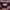 Jersey Original Aston Villa Home 2013/2014 LongSleeve photo 3