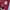 Jersey Original Aston Villa Home 2013/2014 LongSleeve photo 4