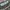Celana Cargo Paola Del Lungo Italy Army  Original photo 2