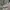Celana Cargo Paola Del Lungo Italy Army  Original photo 3