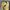 TIMBERLAND Icon 6" Alburn Boots Made in Bangladesh photo 5
