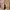 TIMBERLAND Icon 6" Alburn Boots Made in Bangladesh photo 8