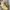 TIMBERLAND Icon 6" Alburn Boots Made in Bangladesh photo 1