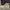 Sneakers Pria Converse Chuck Taylor photo 1