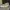 Sneakers Pria Converse Chuck Taylor photo 4