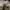 Sneakers Pria Converse Chuck Taylor photo 9