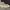 Sneakers Pria Converse Chuck Taylor photo 6