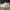 Sneakers Pria Nike Court Vision Low photo 1