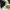New balance the intelligent choice 57/40 photo 6