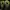 Asics gel fuji terra 2 mt goretex photo 3
