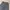 Hanes USA
Size tag L photo 1
