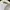 Y2K Minimalist Shirt Wanita white photo 6