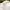 Y2K Minimalist Shirt Wanita white photo 7