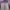 Jilbab masih bagus jarang pakai photo 6