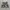 Abercrombie & Fitch Cargo Camouflage size tag 30 photo 1