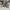 Abercrombie & Fitch Cargo Camouflage size tag 30 photo 5