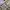 Abercrombie & Fitch Cargo Camouflage size tag 30 photo 8