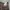Green Label Relaxing Camo Size tag L photo 4