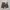 Green Label Relaxing Camo Size tag L photo 2