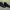 Nike Court Borough full black  photo 2