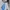 Adidas Ringer Coksu Stripes Miror photo 2