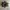 ASICS x Kiko Kostadov (GT-2160 Grey Floss/Brown Storm) photo 2