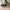 ASICS x Kiko Kostadov (GT-2160 Grey Floss/Brown Storm) photo 3