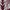 Short Chic Maroon Abstract Pattern Knitwear photo 5