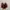 Sneakers gucci red lebah leather 40 good quality  photo 3